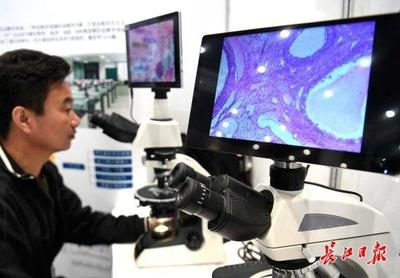 智慧与创意交融 探索现代科教仪器的“酷”与“聪明”